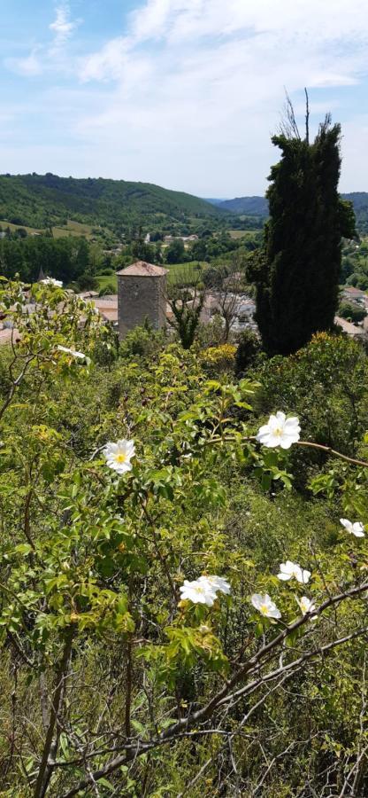 Loc Alp Verdon Riez Bagian luar foto
